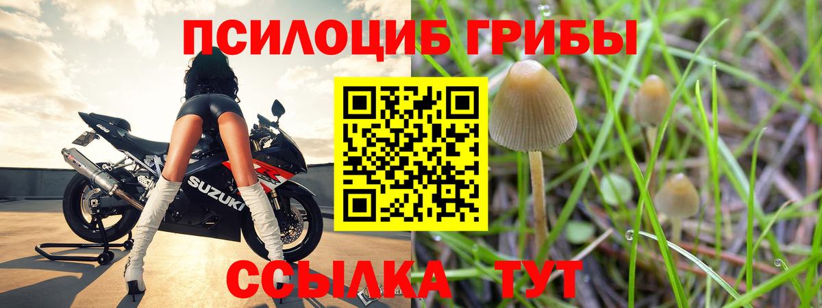 Кимры  Псилоцибиновые грибы MAGIC MUSHROOMS  Вход с VPN 